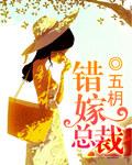 隐婚总裁