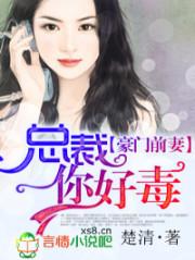 总裁你好