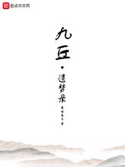 遗梦录