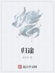 归途