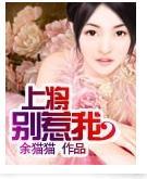 上将别惹我