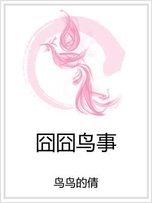 囧囧鸟事