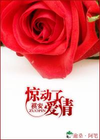 惊动了爱情