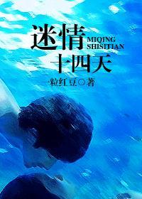 迷情十四天